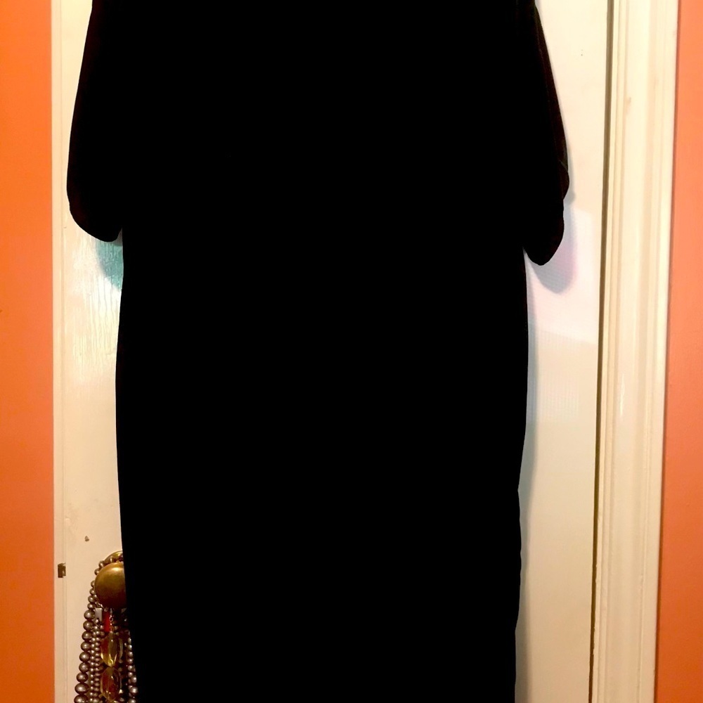 Black Velvet Eileen Fisher Dress!      never worn